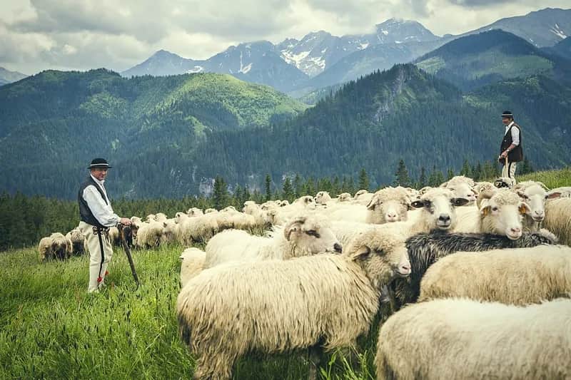 Bacówka co to? Odkryj znaczenie i kulturowe konteksty tego terminu