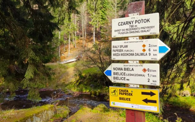 Co oznaczają kolory szlaków rowerowych? Odkryj ich znaczenie i typy