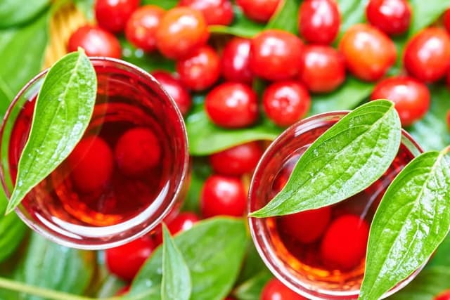 Czy mrozić dereń na nalewkę? Odkryj sekrety idealnego smaku