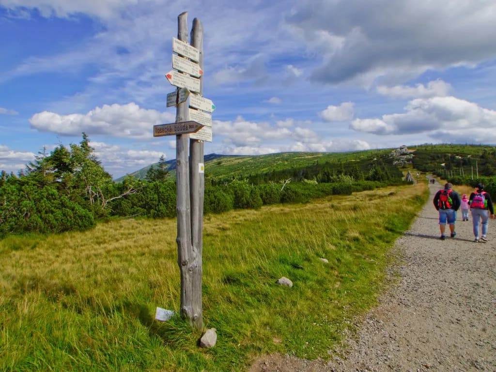 Szlaki turystyczne kolory znaczenie - co oznaczają i jak je czytać