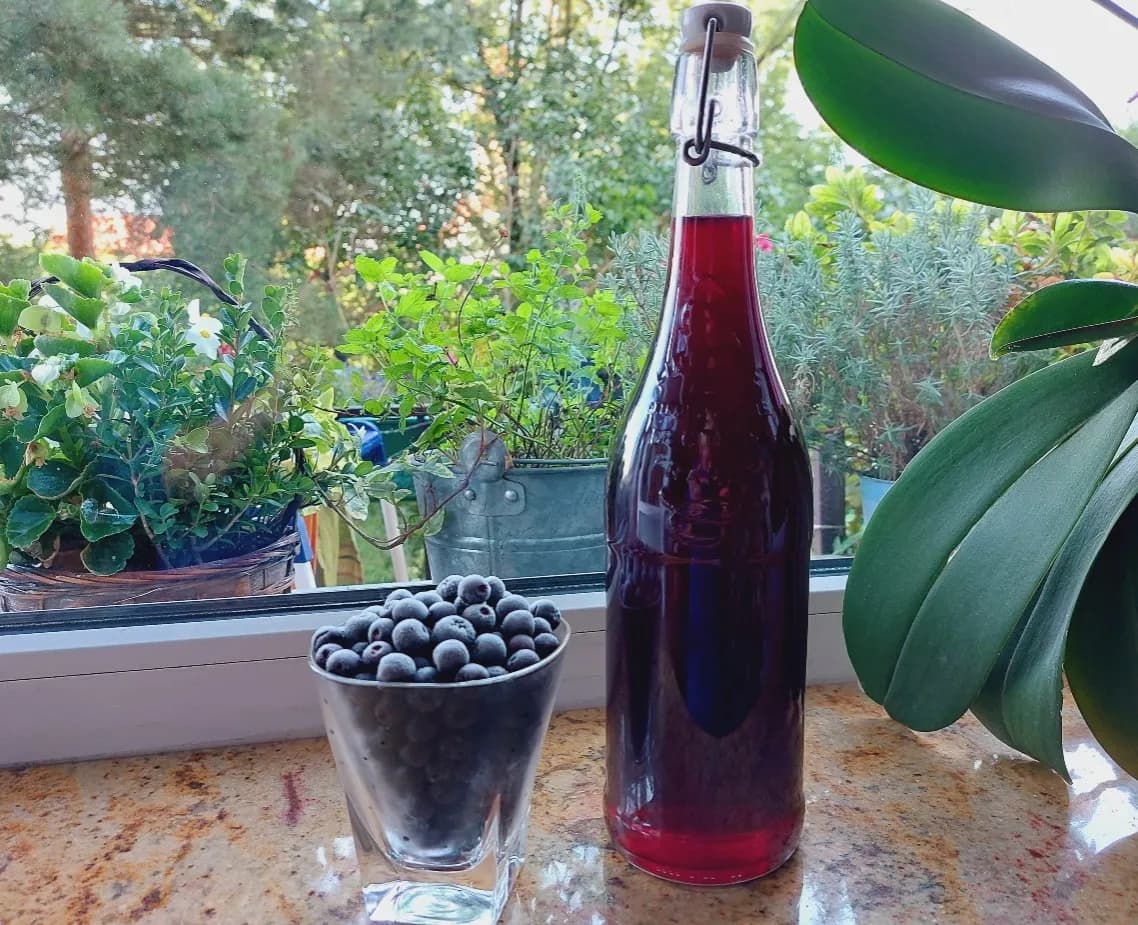 Jak wykorzystać owoce aronii z nalewki - pyszne przepisy i porady