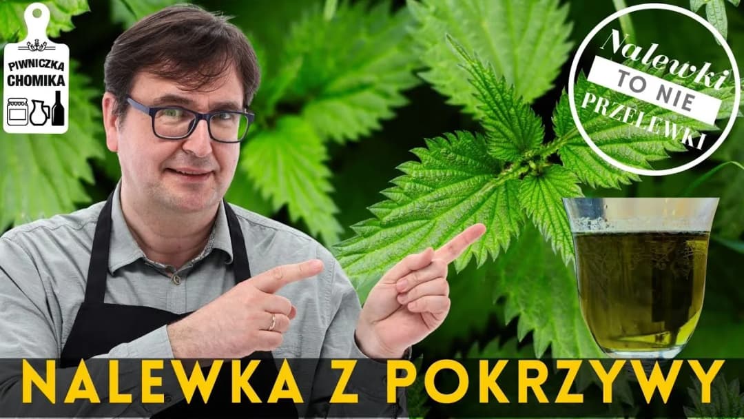 Jak zrobić nalewkę z pokrzywy - prosty przepis na zdrowy napój