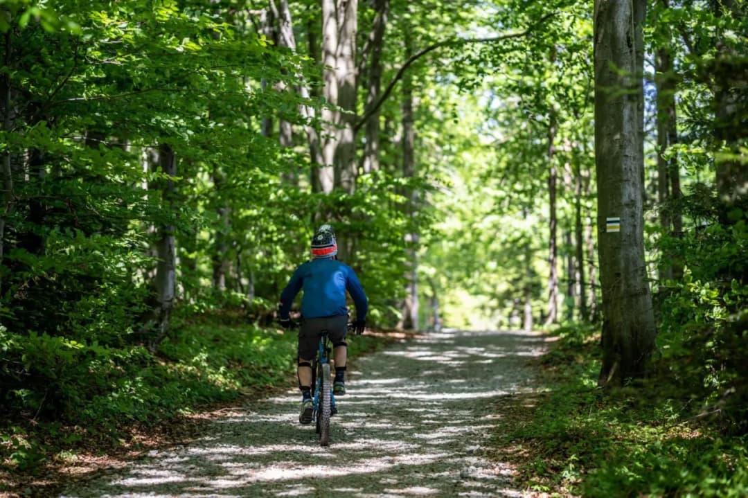 Co oznacza żółty szlak w górach i dlaczego warto go znać